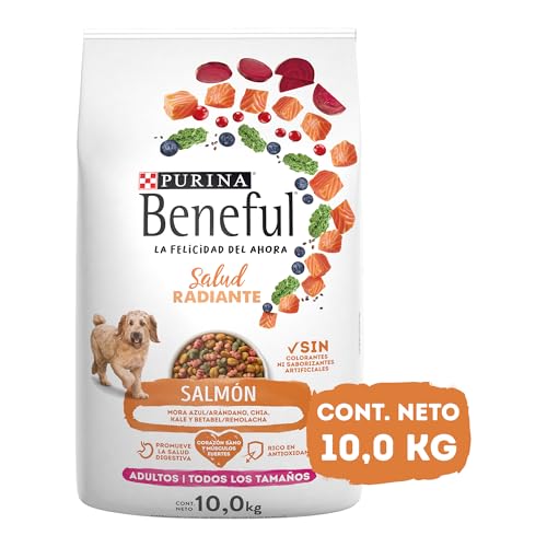 Lista de Croquetas para perro , tabla con los diez mejores. 6 Lista de Croquetas para perro , tabla con los diez mejores. 6