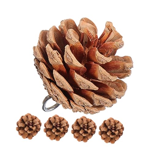 SUPVOX �I�E���̊��ނ������� �V�R���ڂ����� �������p�V�ѓ��� �C���R �I�J���C���R���� ���������Ǝʐ^������p 5�Z�b�g