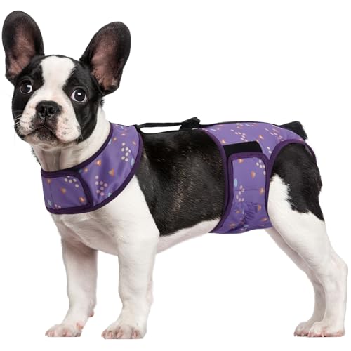 Image of Kuoser Dog Diapers Female with Suspenders, Escape-Proof Doggie Diaper, S