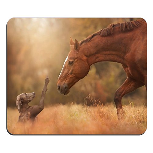 Horse Meets Dog Customized Rectangle Mousepad, Gaming Mouse Pad Mouse Mat