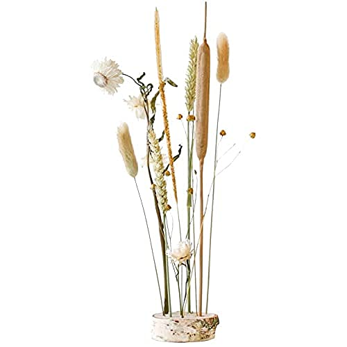 BloomPost L083 Regalo della Cassetta delle Lettere