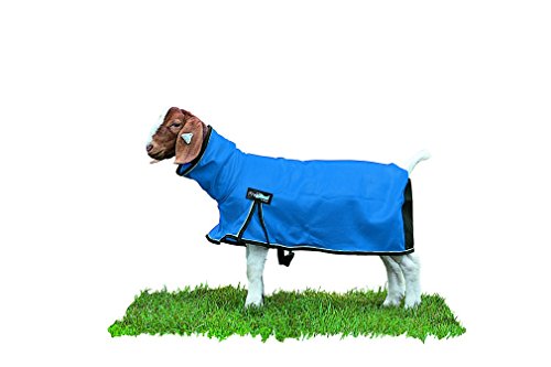 Weaver Leather Livestock ProCool Mesh Goat Blanket with Reflective Piping , Blue , Medium