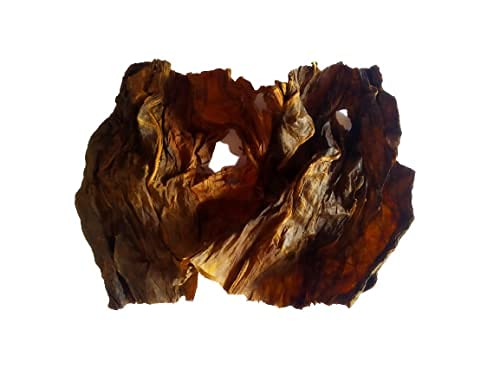 tobacco leaves for rats in car Car Rat Protection Tobacco Leaves For Car 100 Herbal Effective