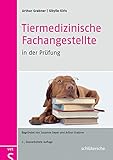 Tiermedizinische Fachangestellte in der Prüfung