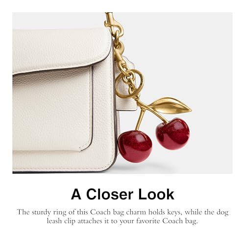 Coach Women's Resin Cherry Bag Charm4