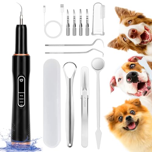 Kit Rimuovi Tartaro Denti per Animali, Kit Pulizia Denti Tartaro Cane, Ablatore Tartaro Elettrico per Cani, Rimuove Il Tartaro e Previene Tartaro, Alitosi e Gengiviti (Nero)