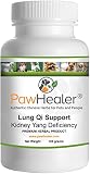 Deep-Croupy Cough - Lung Qi Support: Kidney Yang Deficiency-100 Grams-Herbal Cough Powder-Dogs & Pet