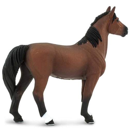 Morgan Stallion pour vos soirées en ville et rendez-vous pro