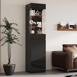 Glass Skinny Book Shelf...