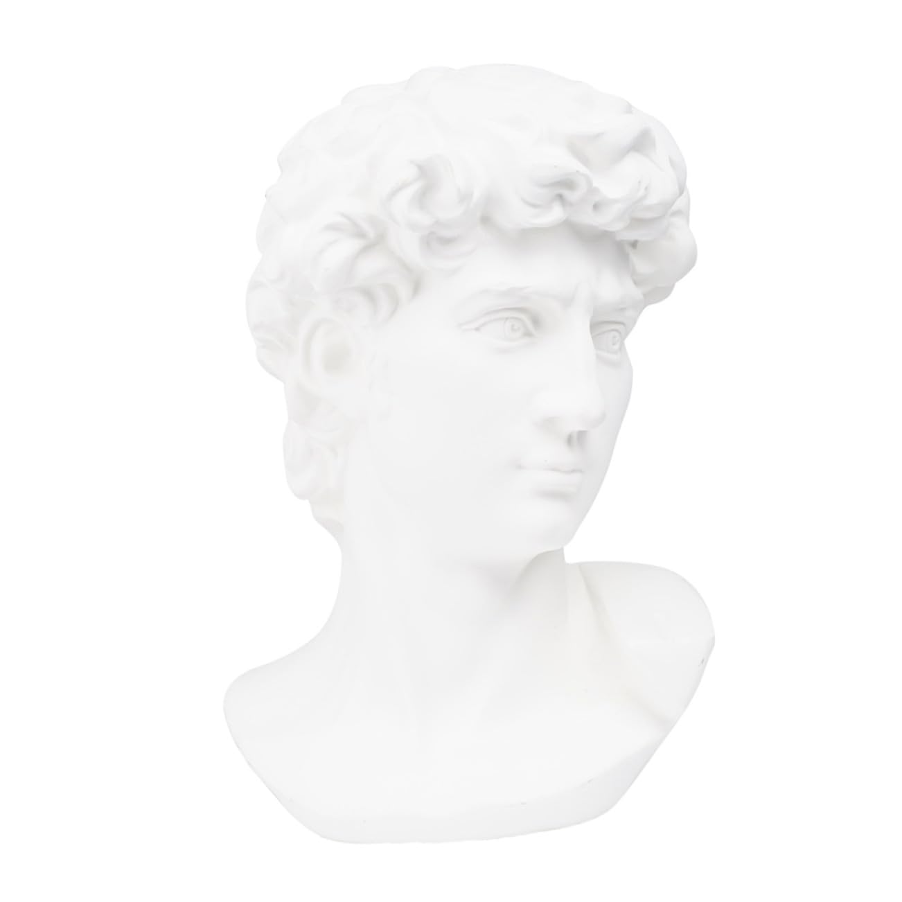Statue de tête de David en résine blanche pour le dessin et la déco