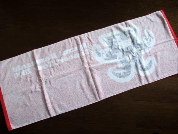 Amazon.co.jp: レア 浜崎あゆみ コンサートツアー 2000 スポーツタオル