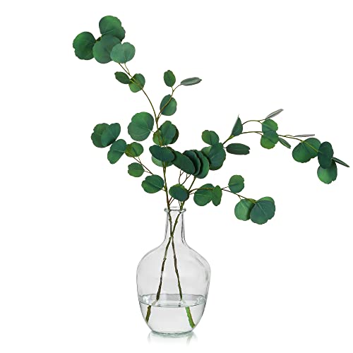 JarróN de Cristal con Forma de Globo para DecoracióN de Mesa de Comedor Eucalipto, Hewory Vintage Pampasgrass Dame Jeanne para Sala de Estar Dormitorio, Jarrones Reciclados para Ramas de Flores, 25cm Cover
