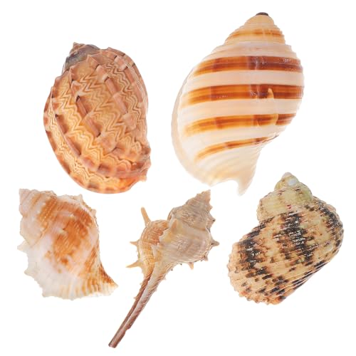 BUGUUYO 5個 巻き貝水槽の造園 カニ用品 キット 沿岸の 貝殻 ビーチの装飾 難破船 海洋 魚 砂 巻貝 水槽の装飾 水族館の隠れ家 工芸用シェル 水槽の付属品 巻き貝のシェル 装飾巻き貝