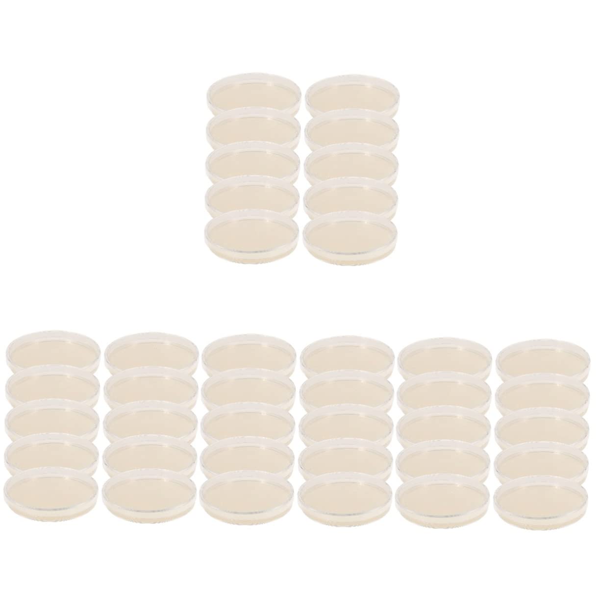 Buy GaRcan 50 Pcs ent Agar Plate Agar Powder for Petri Dishes Tissue
