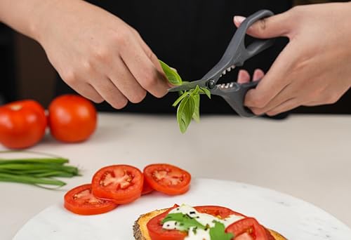 Image of Zyliss Herb Snippers with Integrated Stem Stripper - Precision Blade Kitchen Scissors for Fresh Herbs, Parsley, Cilantro & Chives - Ergonomic Wheat Straw Handle, Left /Right-Handed, Dishwasher Safe