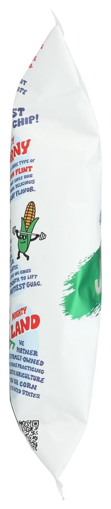 Zack's Mighty Organic Jalapeno Lime Tortilla Chips, 9 OZ | Grocery