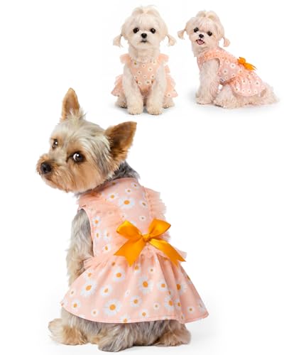 Image of CuteBone Cream Daisy Pet Dress for Small Dogs, Cats - Ruffled Sleeves - Orange Satin Bow - Spring Garden, Photo Dress