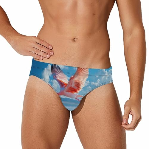 Flamingo Flying Over Lake Mens Swim Briefs Sexy Bikini Swimwear Bathing Suits Trunks