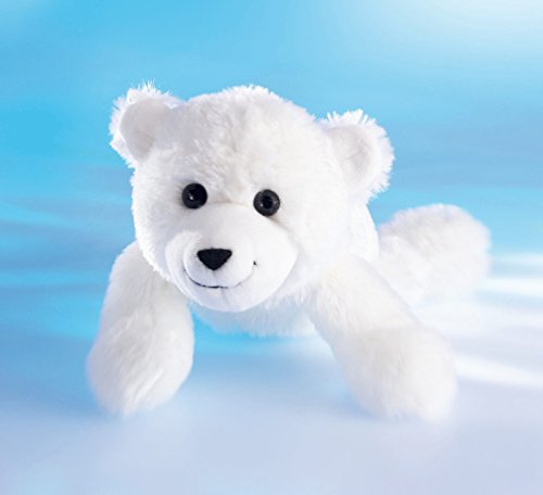 Plüsch Eisbär „Knut Knuddel“ – Schaffer 1370 - Kuscheltier Eisbär - weich & flauschig - Stofftier für Babys & Kinder ab 0 Jahren – waschbar - Größe S - 20 cm - weiß