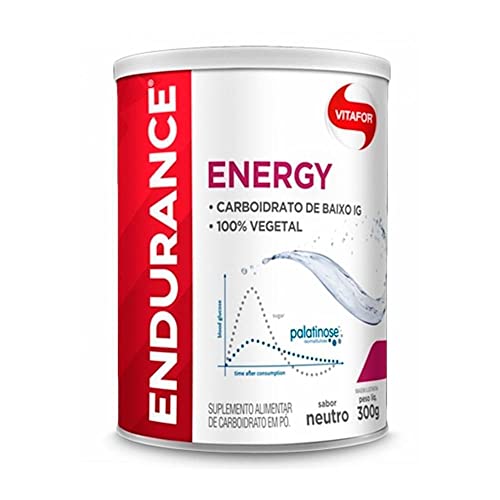 Vitafor - Endurance Energy 300G - Palatinose Tm