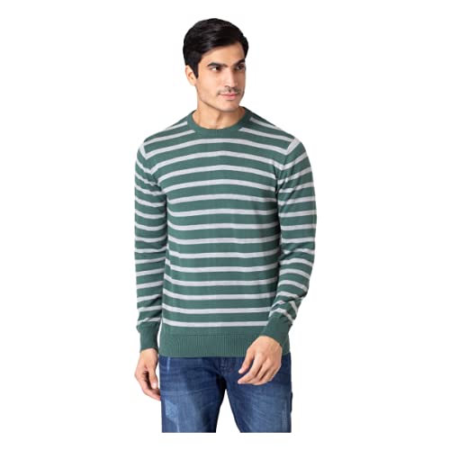 Image of Allen Cooper Strips Sweater for Men