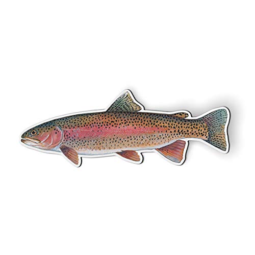Rainbow Trout Fish - 5.5" Magnet for Car Locker Refrigerator
