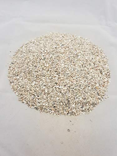 Maltby's Stores Grain d'huîtres Fin 25 kg