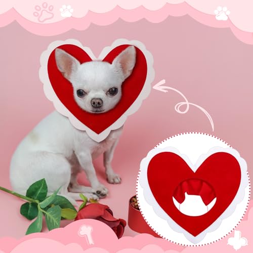 Disfraz para perro con corazón rojo tamaño pequeño miniatura 2