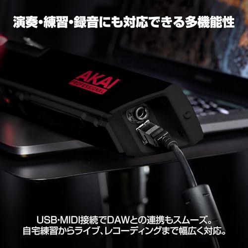 Akai Professional EWI 5000 ウインドシンセサイザー の商品画像 5