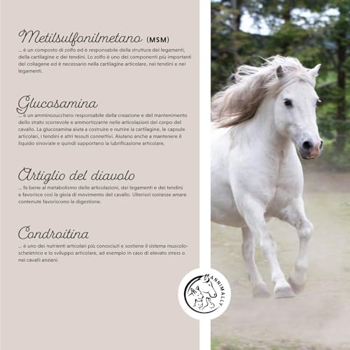 Polvere Per Le Articolazioni Dei Cavalli 850G Con Artiglio Del Diavolo Cavallo, Msm Cavallo (Zolfo), Glucosamina E Condroitina - Msm Integratore Cavalli Per Il Rafforzamento Delle Articolazi - 4
