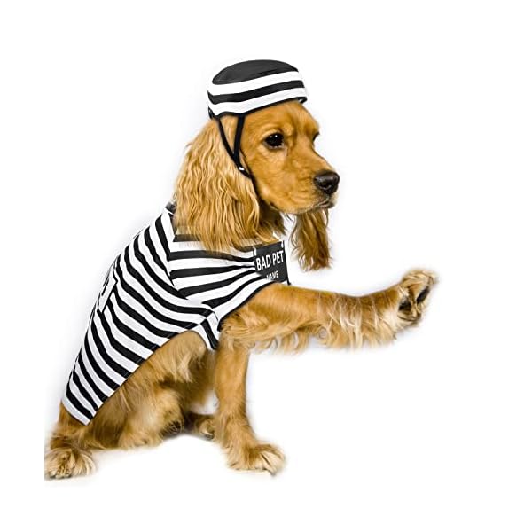 Funny dog prisoner costumes halloween dog prison pooch shirts washable dog hat and card for halloween dog puppy pet cosplay (x-large) - image 6
