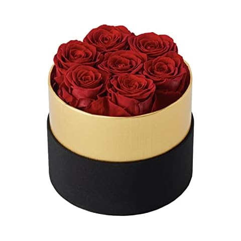 Eterfield Rose Box Flower Box with 7 Eternal Roses Gift 3 Years Shelf Life for Her (Red, Round Black Box) Cover