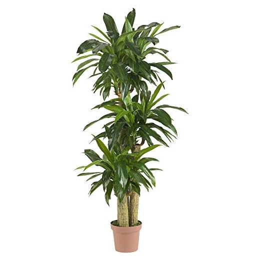 Lifelike 62-Inch Artificial Corn Stalk Plant