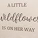 GIOGUK A Little Wildflower Is On Her Way Decal - Baby Shower, Gender Reveal Party Decoration Supplies, Flower Wildflower Theme Wall Stickers, Wildflower Sign Balloon Arch And Backdrop Decorative Decal
