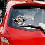 Zoom IMG-2 weimaraner adesivo riflettente 3d effetto