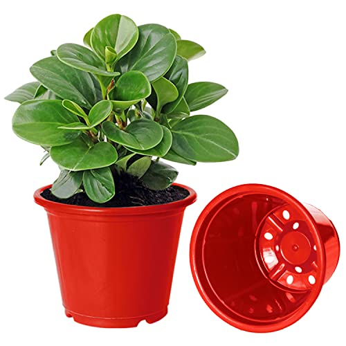 Image of Kuber Industries Durable Plastic Flower Pot|Gamla with Drain Holes for Indoor Home Decor & Outdoor Balcony,Garden,6 inchx5 inch,Pack of 5 (Red)