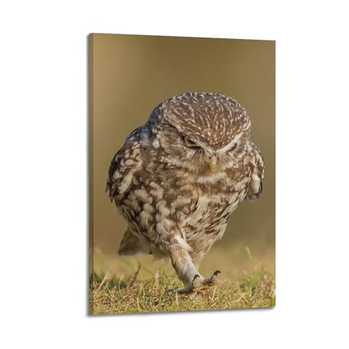 Toile hibou koanga décoration murale moderne grand format 60x90cm