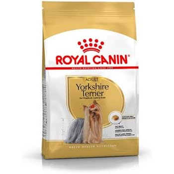 eukanuba adult breed specific yorkshire terrier