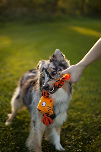 Brinquedo Cachorro Pelúcia Com Corda Tuggerz Macaco