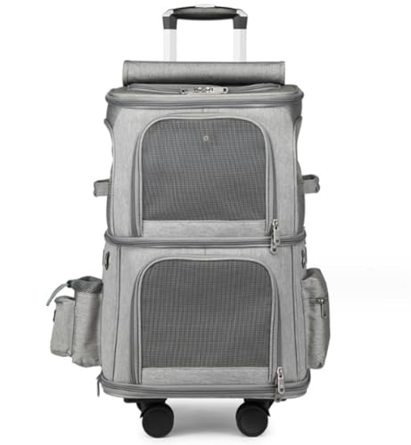 eʃ|[^uybgg[obOFLX^[t܂肽ݐ݌vCeJ + ʋCCbN@\t ^EL 2 ybgpCsEAEghAEԍځEɓK