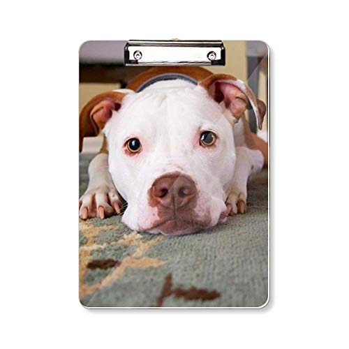 Porte-bloc bouledogue blanc A4 rigide pour écrire debout sans table et ranger vos feuilles