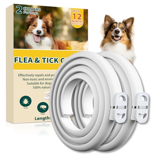 2pack Collier Anti Puces pour Chien, 12 Mois De Protection Efficace, Collier Anti Tique Chien 65cm, Réglable Et Étanche, Convient Aux Chiens De Toutes Tailles (65cm*2)