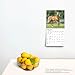 Horse Lovers | 2025 7 x 14 Inch Monthly Mini Wall Calendar | Plastic-Free | BrownTrout | Animals Equestrian