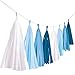 Produktbild Amscan 9904610 - Fransengirlande Sky Blue, Länge 3 m, Hängedekoration, Geburtstag, Mottoparty, Karneval