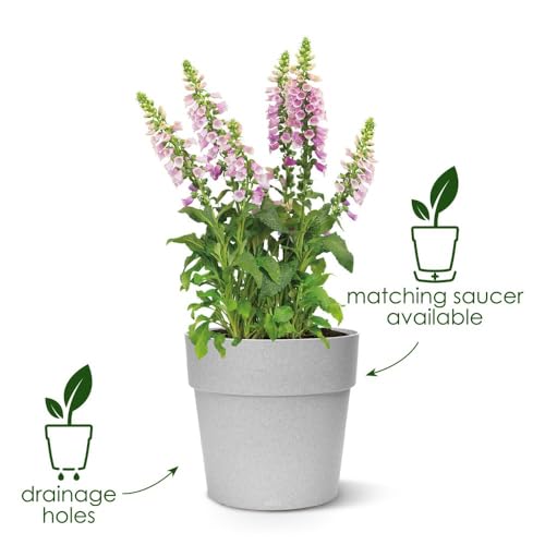 Elho Vibia Straight Rond 30 - Pot De Fleurs pour Extérieur - Ø 29.3 x H 28.0 cm - Noir/Anthracite – Image 3