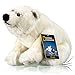 National Geographic- Polarbär Animal en Peluche, 9770723, Blanc