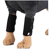 Verstellbare Vorderbeinstütze für Hunde, Karpal-Handschiene mit Riemen, verhindert Verletzungen und Verstauchungen, bietet Linderung und Stabilität für die Mobilität des Hundes