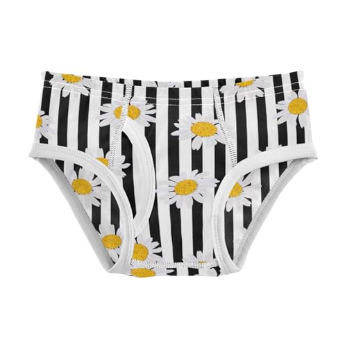 Boys' Exclusive Briefs Toddler Underwear 95% Combed Cotton Boxerbriefs 2T Daisy Black White Stripes 77