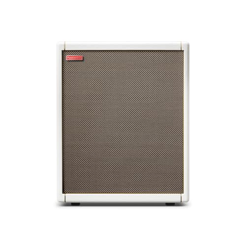 Positive Grid Spark Cab Gabinete de Altavoz de Amplificador de Guitarra, Alimentado para Amplificadores de la Serie Spark, Múltiples Instrumentos, Modeladores y Más. – Perlado - imagen 2