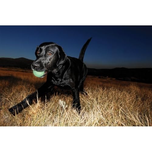 Image of Chuckit! Max Glow Bouncy Ball, Glowin the Dark, XL 3.5in